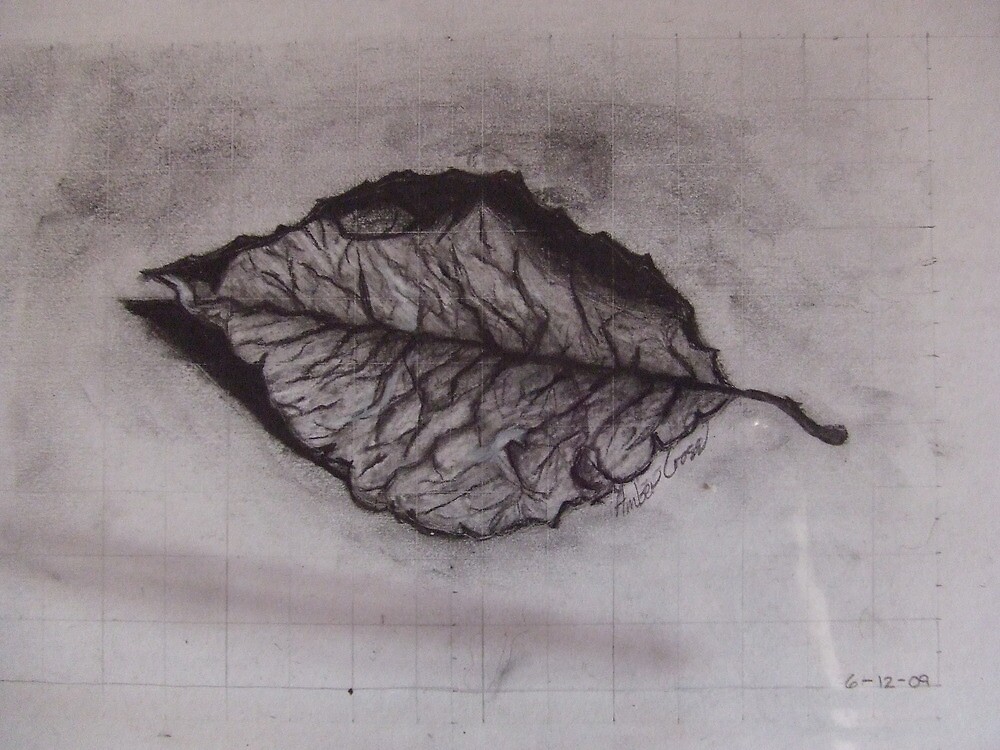 "Charcoal Leaf" by Amber Cross Redbubble