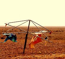 The Ultimate Communal Dryer by Sherene Clow