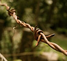 Ties That Bind by Adoni