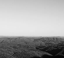 a dirty sensor by wittgraham