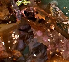 Guess What I Have Photographed - Solved by Calelli in 7 Guesses by Helen Martikainen