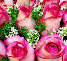 Roses are Forever by Elenne Boothe