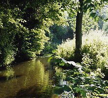 the ford by uncleblack