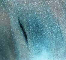 Starlit negative by carrieH