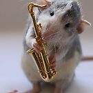 Froppy by Ellen van Deelen