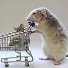 Walking the cat :) by Ellen van Deelen