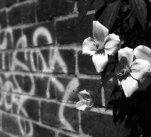 NATURE WILL PREVAIL II by Redtempa