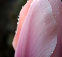 breathe deep the gathering gloom by serpentwhisper