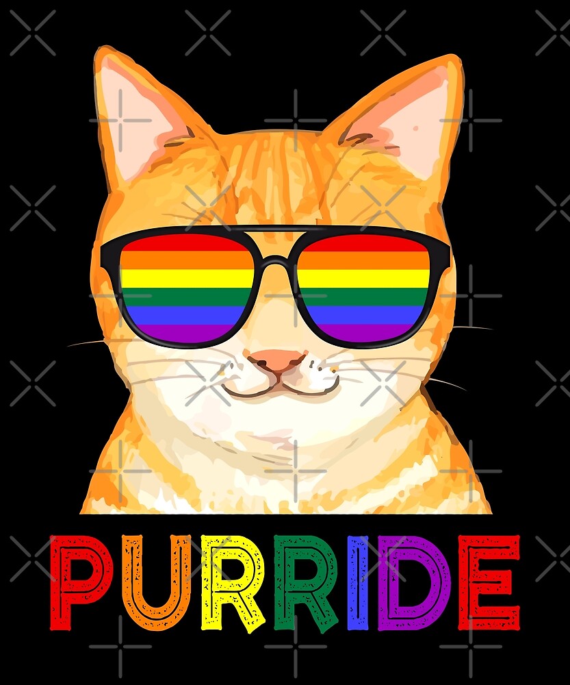 Purride LGBT Gay Pride Cat Lover LGBTQ Rainbow Sunglasses By