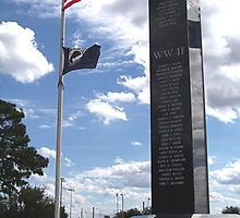 ...Some Gave All by Judy Wanamaker