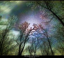 Life Reaching Light (and Vice Versa) by Daniel Brown