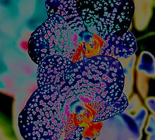 Couple of Orchids in BLUES <3 by Nira Dabush
