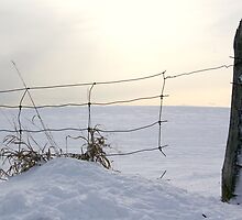 Broken Fence by rokudan