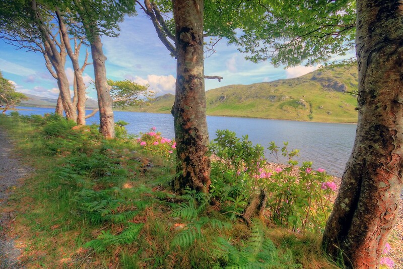 scenic connemara lake canvas prints size small 12 0 x 8 0 medium 18