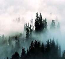 Barely Visible by Tori Snow