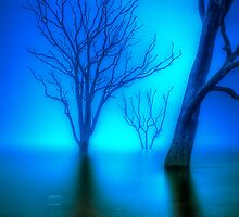 Foggy Dawn at Lake Eildon #3 by Jason Green