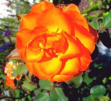 Just another flower by Artcool