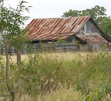 Disused Shearing Shed by elsha