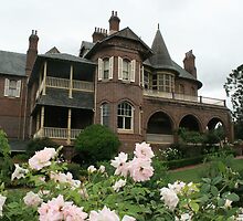 "Camelot", Kirkham NSW by Sweet Shutter Bug Photography