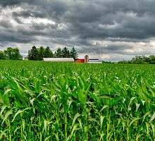 Wisconsin Dairyland by ECH52