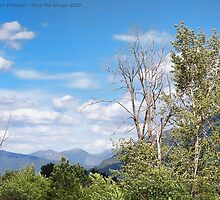 Badrock Canyon by rocamiadesign
