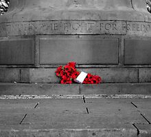 We Will Remember Them by David Brooks