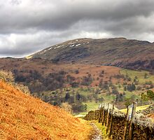 The well travelled path by Tom Gomez