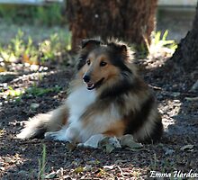 Relaxed & Unaware by Emma Hardcastle