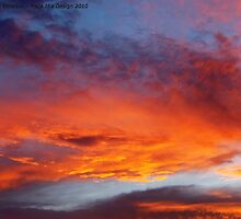 The Heavens Declare by rocamiadesign