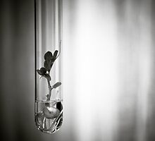 And so it begins... by Christine Wilson Photography
