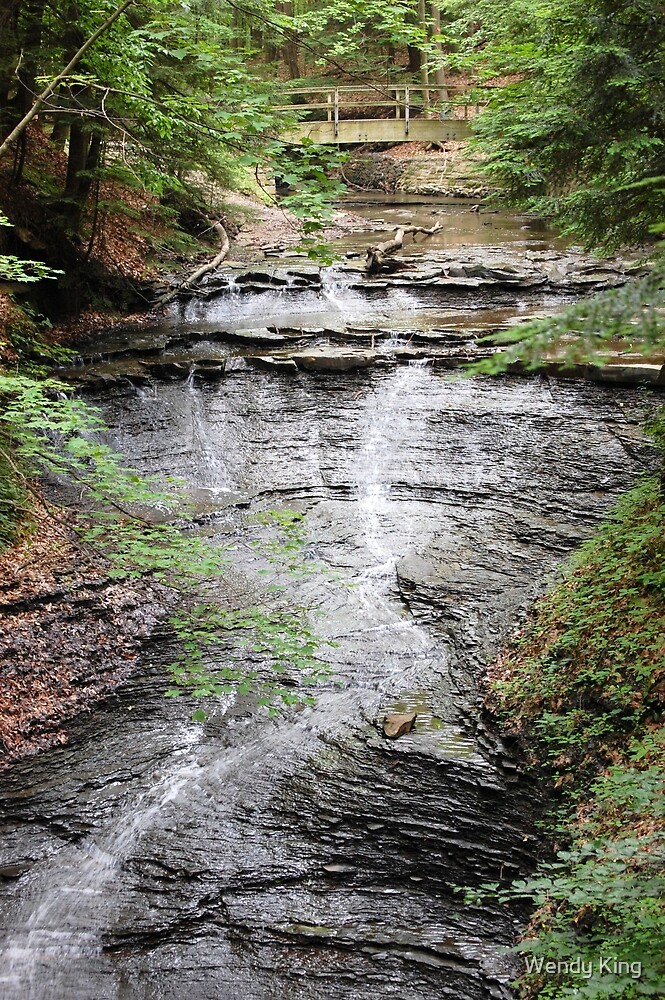 Bridal Veil Falls Cleveland Metro Parks Ohio By Wendy King Redbubble