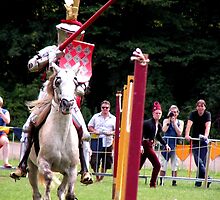 There they are the jousting knights! by patjila