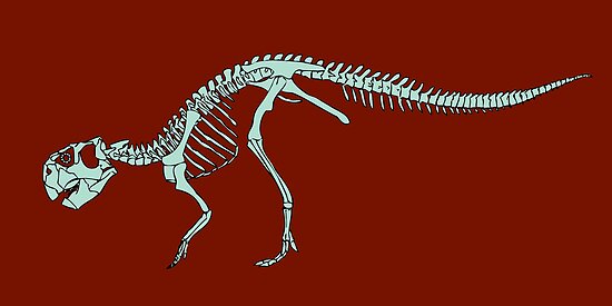 Psittacosaurus Mongoliensis