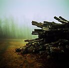 Untitled by JP Candelier