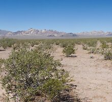 Approach to Death Valley by audhudson