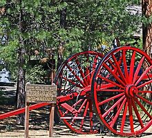 LOGGING WITH THE HIGH WHEELS by Chuck Gardner