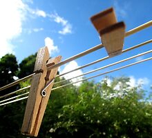 Dancing Pegs by Pippa Carvell