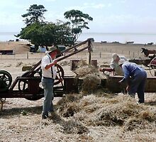 Hay baling by Janette Anderson