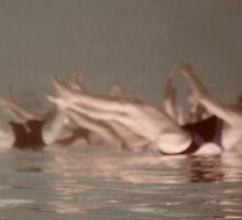 Surface Series, Metamorphosis by Patricia Ridenour