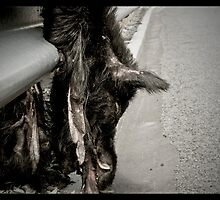 Skinned roadside pig by madworld