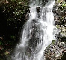 Cataract Falls by Gary L Suddath
