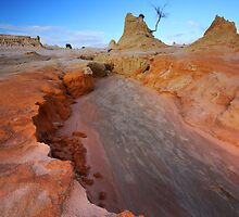 Destructive Forces of Creation by David Hibberd