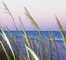 Bid-a-Wee beach by Tgarlick