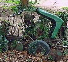 Retired Old Ride On Mower by lynn carter