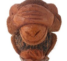 Ashamed monkey by homydesign