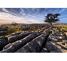 Limestone Country, Ribblesdale - The Yorkshire Dales Photographic Print