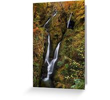 Stock Ghyll Force - The Lake District Greeting Card