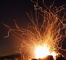 Campfire and Stars by Tori Snow