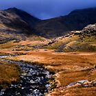 Upper Eskdale - The Lake District by Dave Lawrance