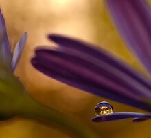 in between by Ingz